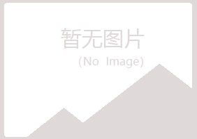 巫山县残留采矿有限公司